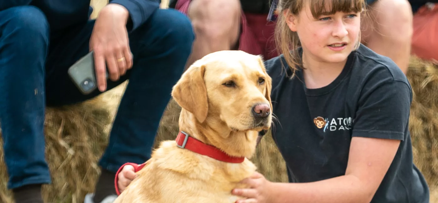 Dog Show 3